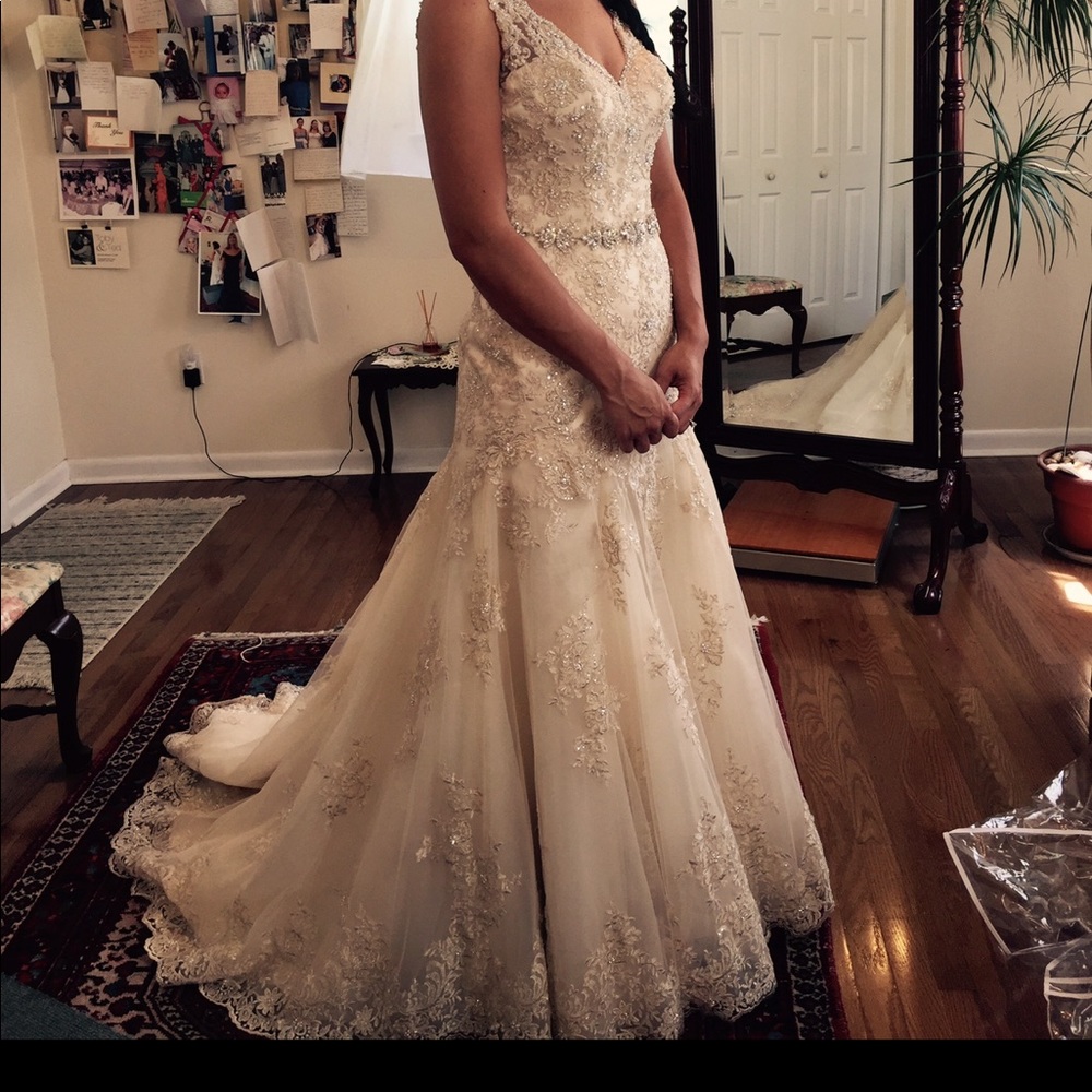 Stella York Wedding Dress - Picture 2 of 6